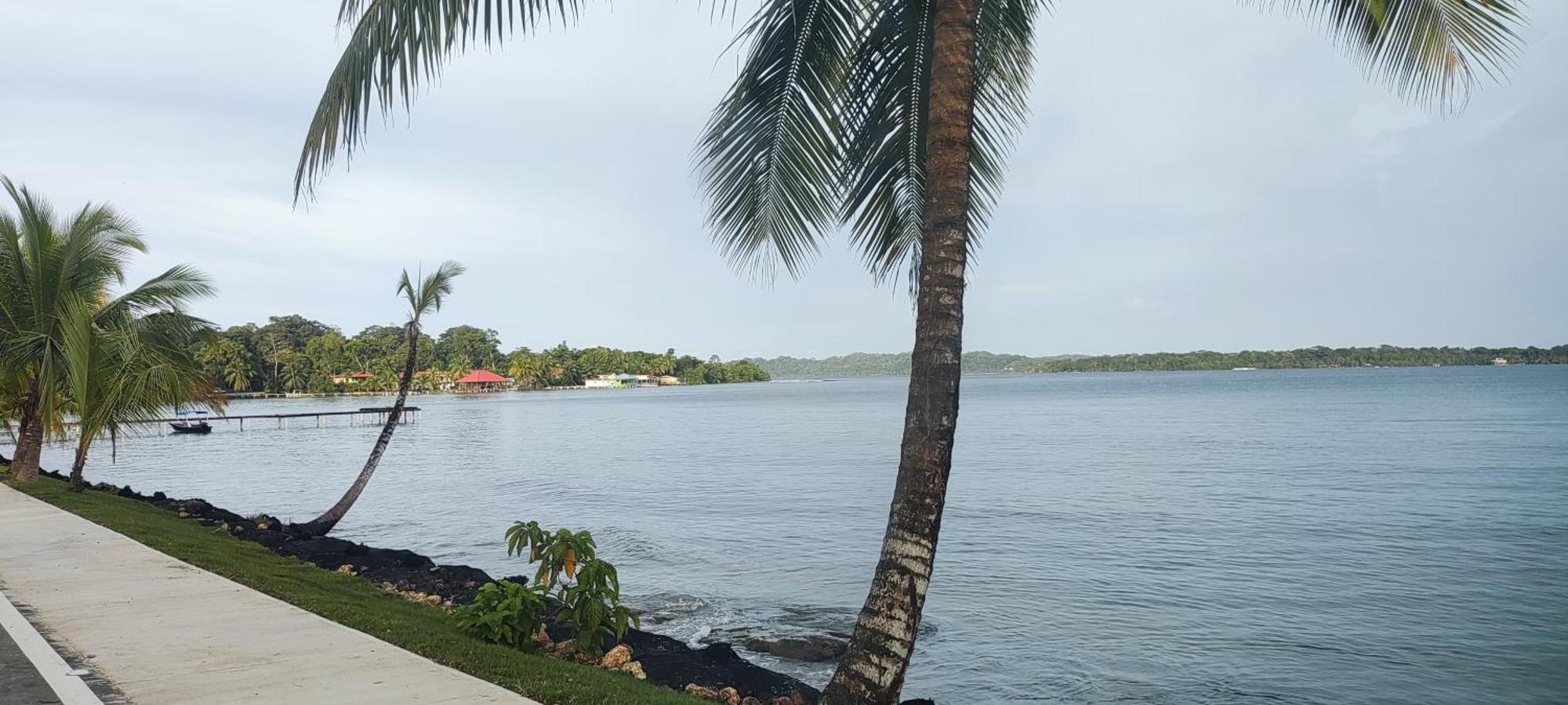 Bambu Lounge Bocas Hostel Bocas del Toro Zewnętrze zdjęcie