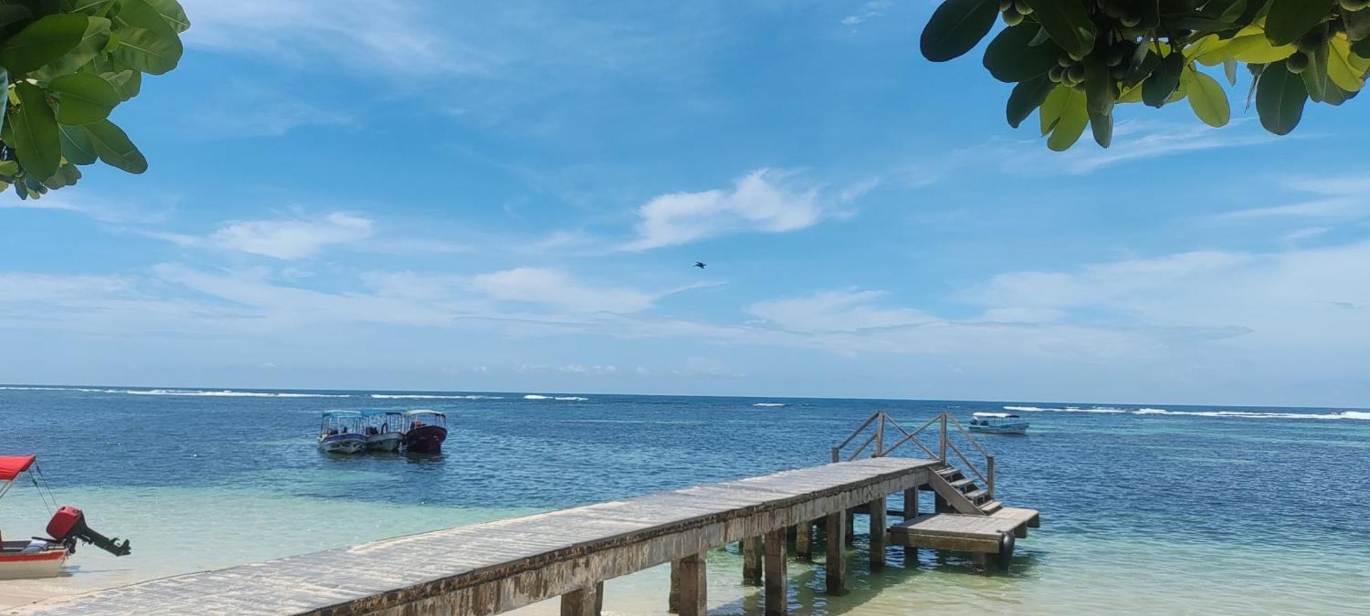 Bambu Lounge Bocas Hostel Bocas del Toro Zewnętrze zdjęcie