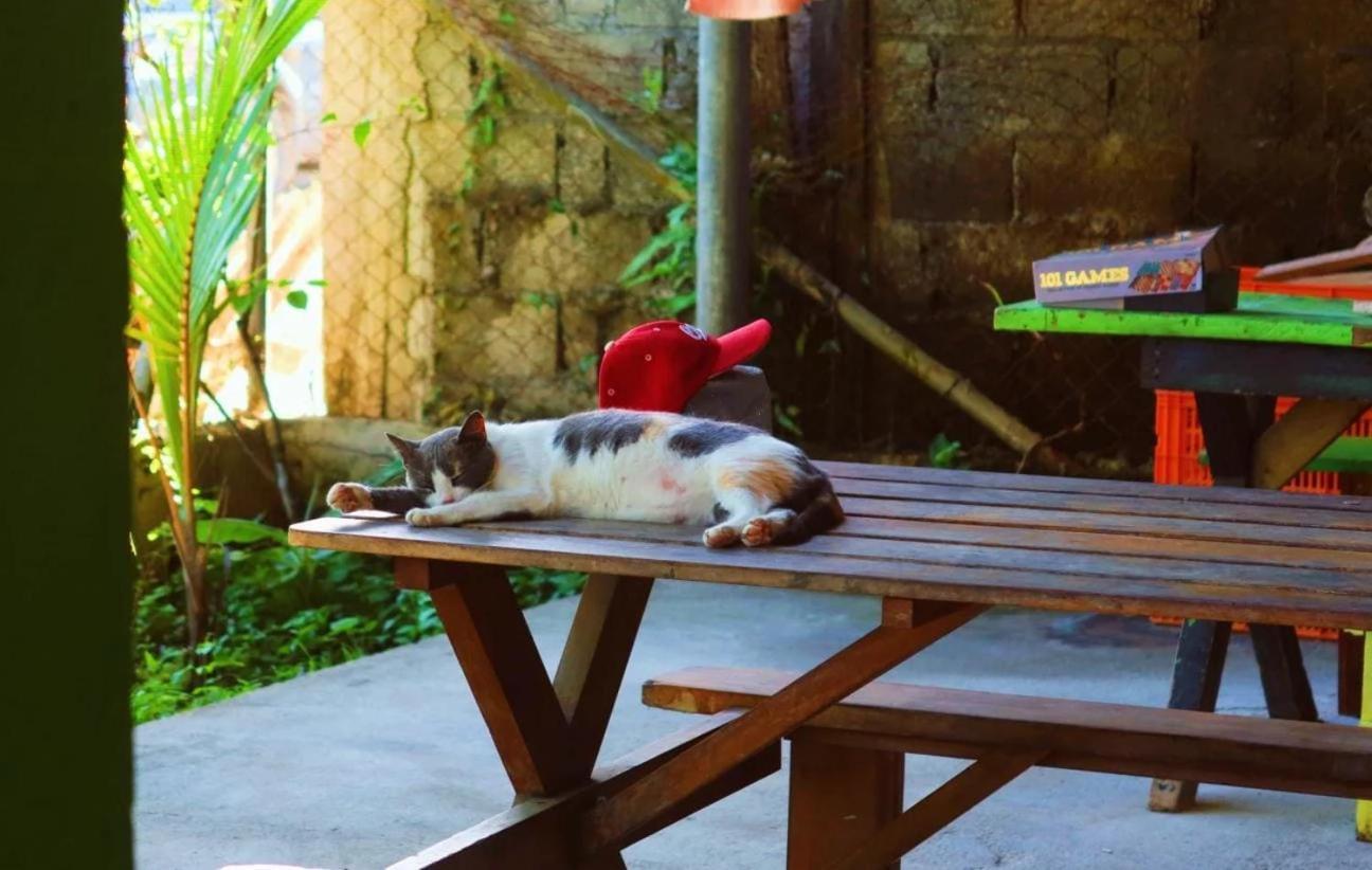 Bambu Lounge Bocas Hostel Bocas del Toro Zewnętrze zdjęcie