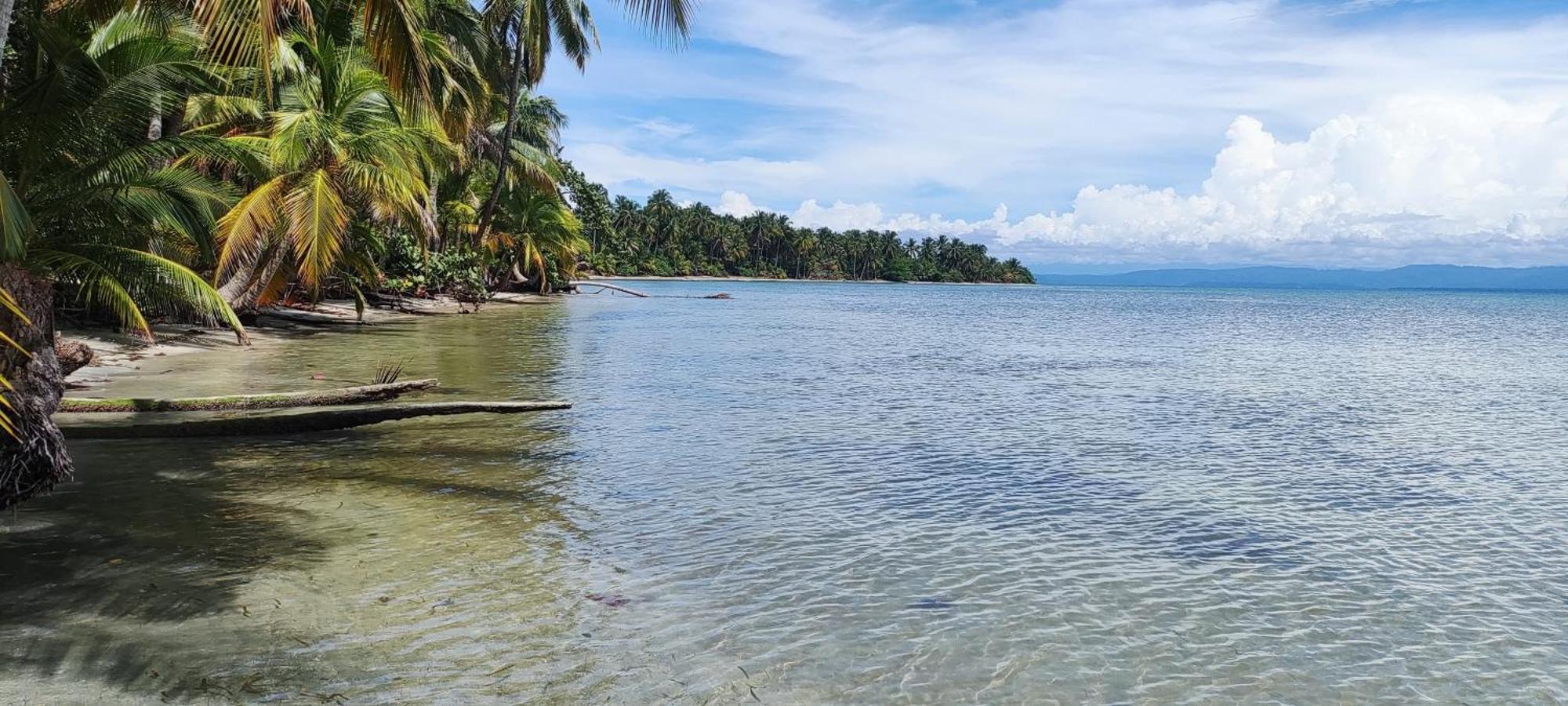 Bambu Lounge Bocas Hostel Bocas del Toro Zewnętrze zdjęcie